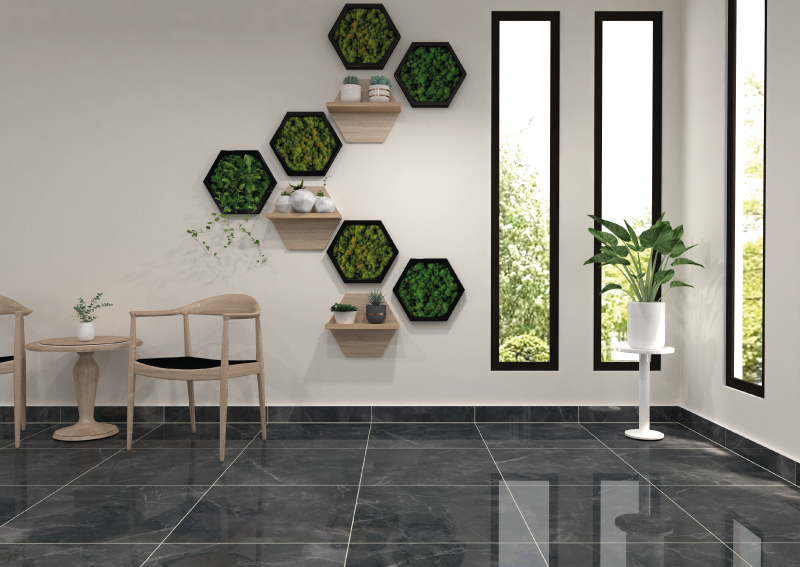 plants in hexagonal wall frames