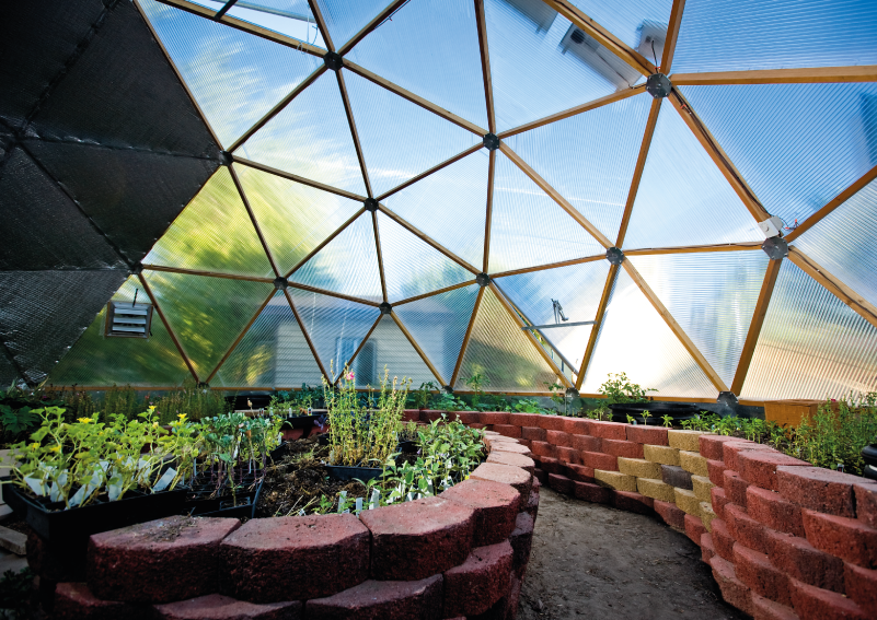 A glass dome over an indoor garden