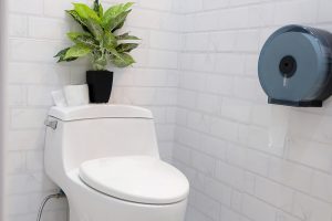 One-Piece Water Closet